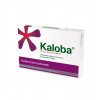 KALOBA 20 MG POTAHOVANÉ TABLETY TBL FLM 21