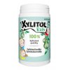 Xylitol Kids 100% xylitolové pastilky 90ks