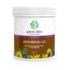 Green idea Artroregen gel 250 ml