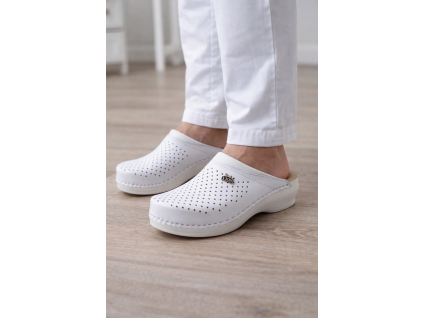 d287866d 745b 4b2f a58e c609916cb2a3