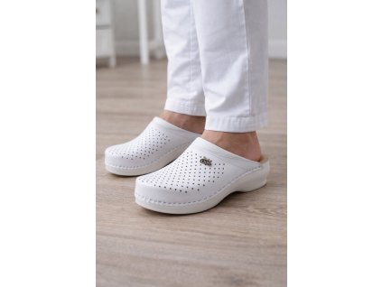 d287866d 745b 4b2f a58e c609916cb2a3