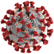 SARS-CoV-2_without_background