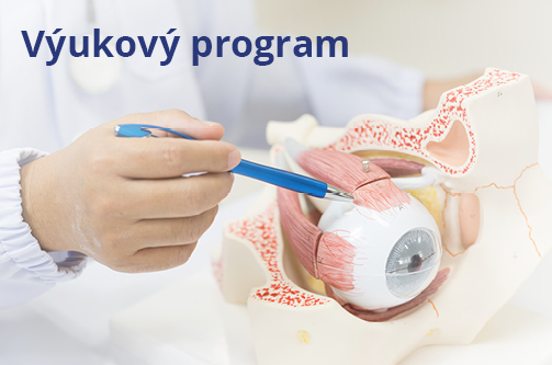 Výukový program