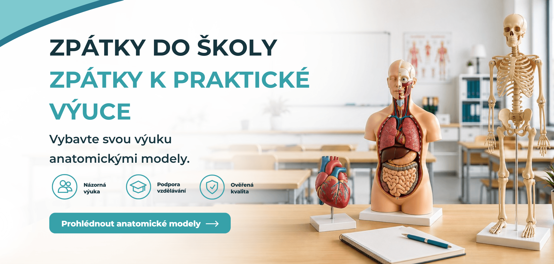 Anatomické modely