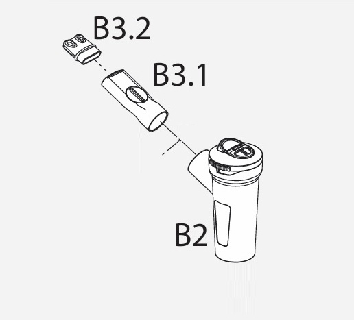 b3