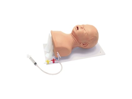 W19519 01 1200 1200 Advanced Infant Intubation Head with Board