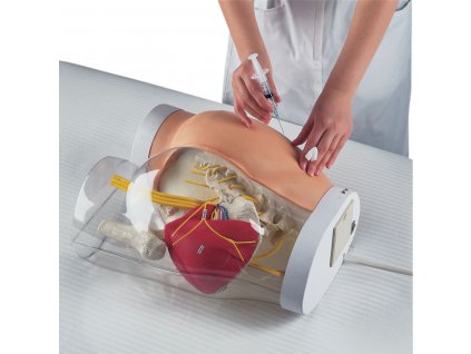 Simulátor intramuskulární injekce - hýždě
