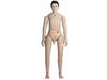 Cvičná mužská výuková figurína Bedford vyšší kategorie