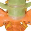 A58 8 07 1200 1200 Didactic Flexible Human Spine Model 3B Smart Anatomy
