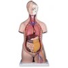 Klasické torso, unisex, 12 částí