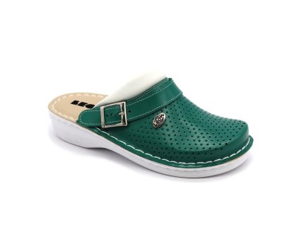 leon v202 damska kozena zdravotni obuv zelena preview