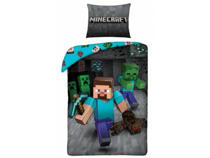 minecraft 2