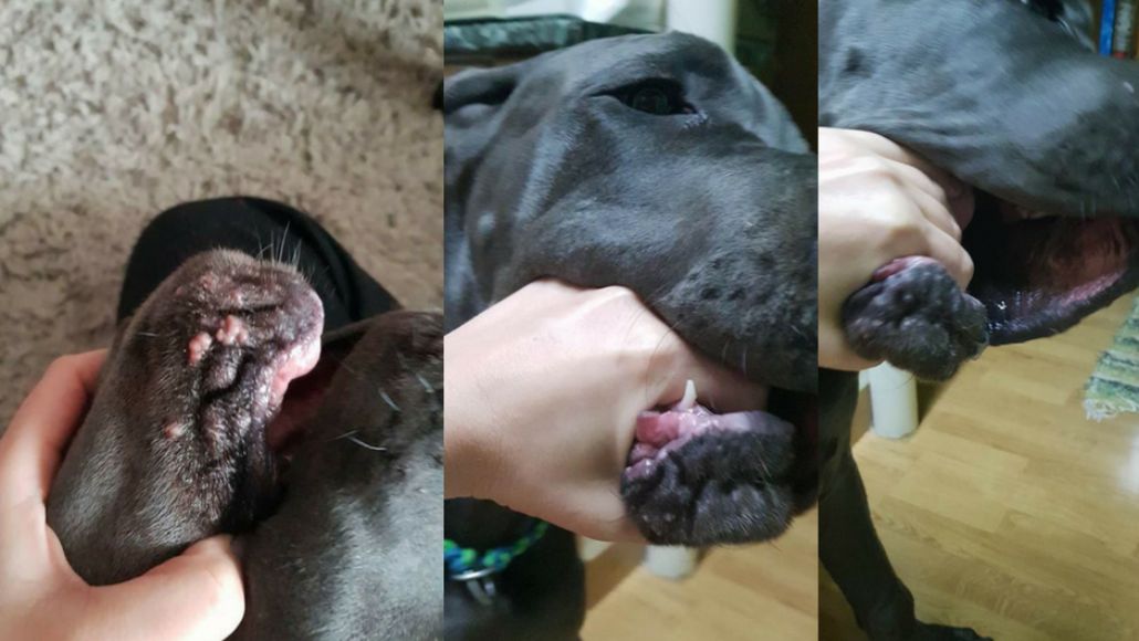 CortiAdapt - skúsenosť zákazníčky