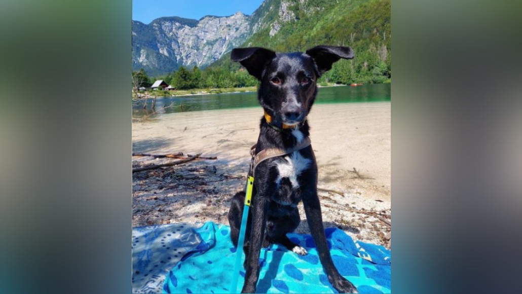 Diagiar - skúsenosť zákazníčky