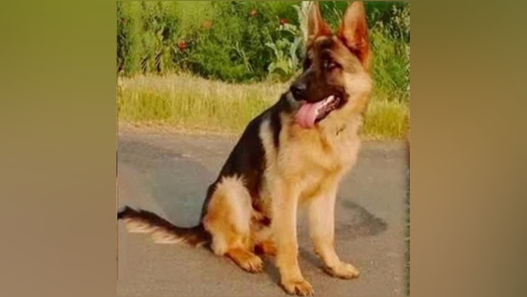 Diagiar - skúsenosť zákazníka