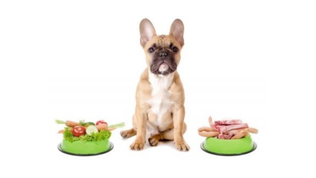 Prečo je dôležité doplniť Selén do stravy Vášho psa.