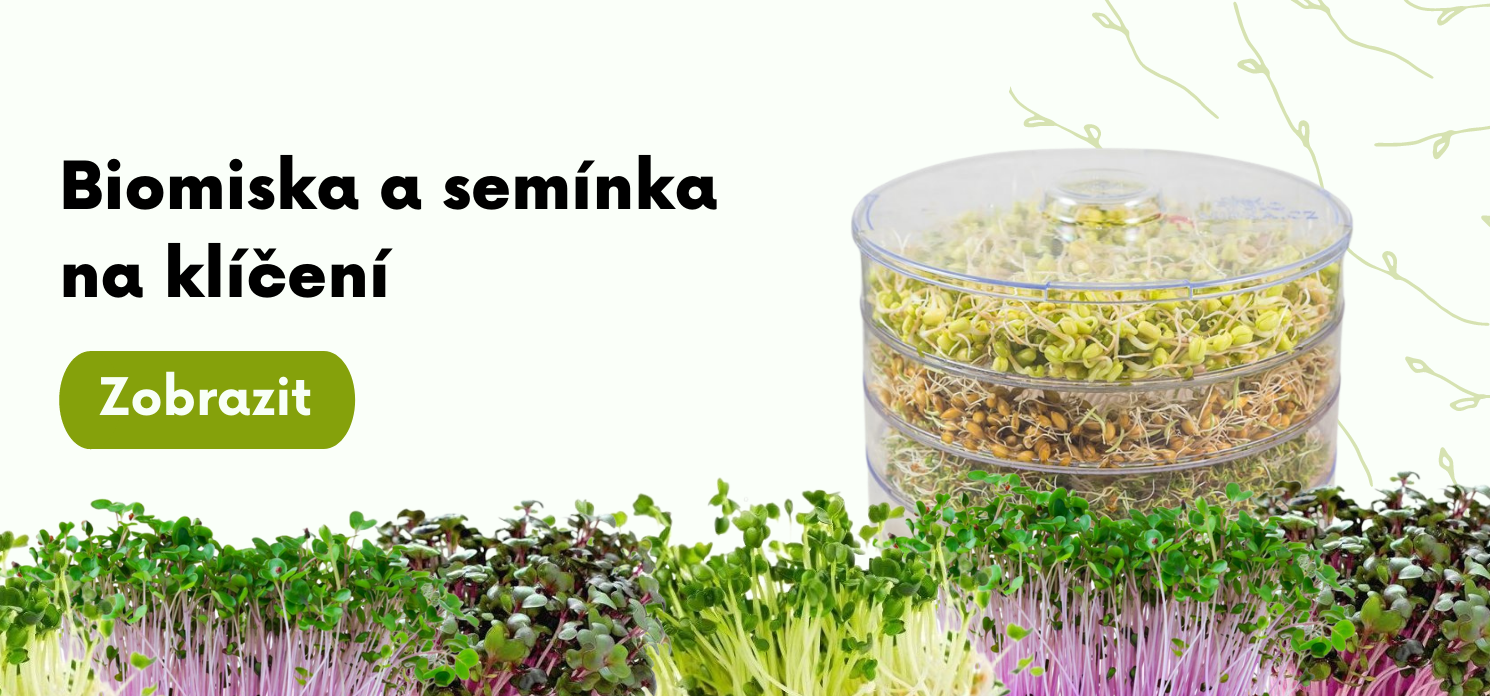 Rostlinné klíčky jako zdravá součást našeho jídelníčku