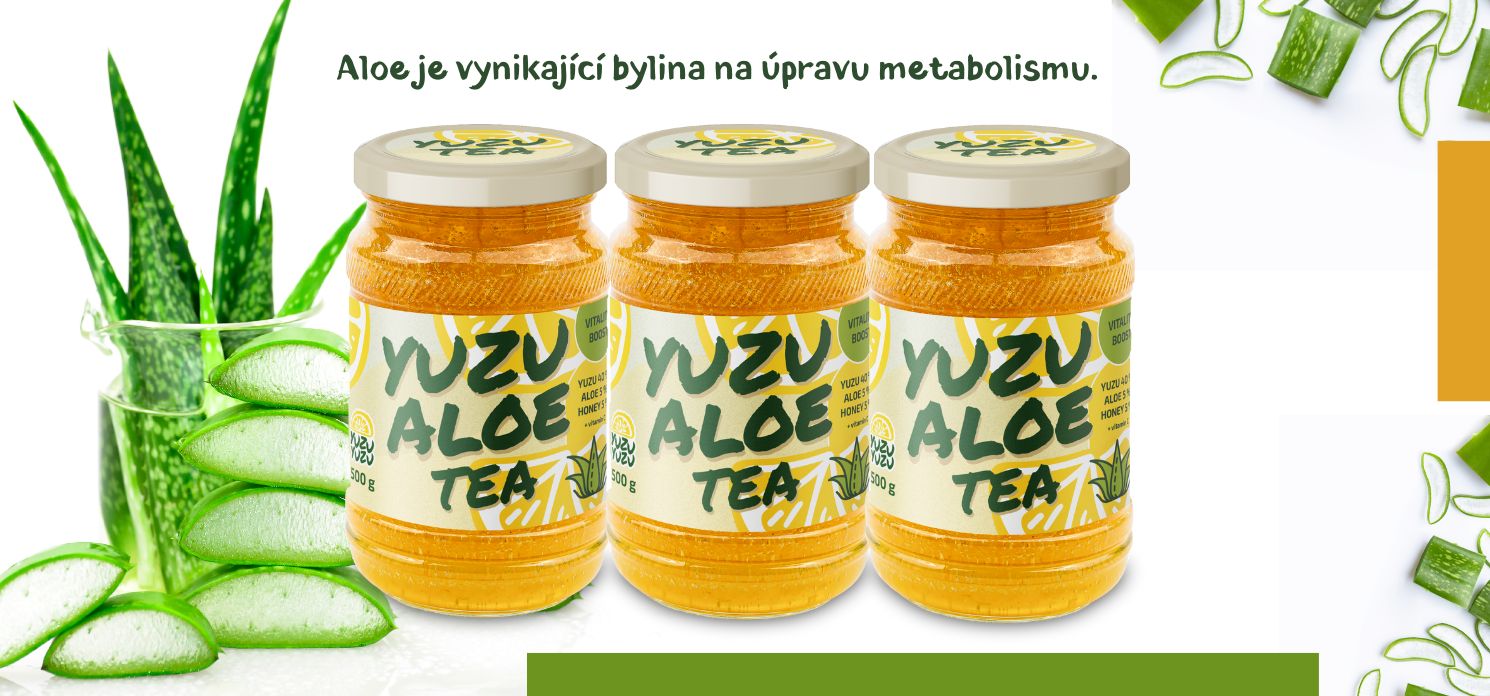 Aloe je vynikající bylina na úpravu metabolismu.