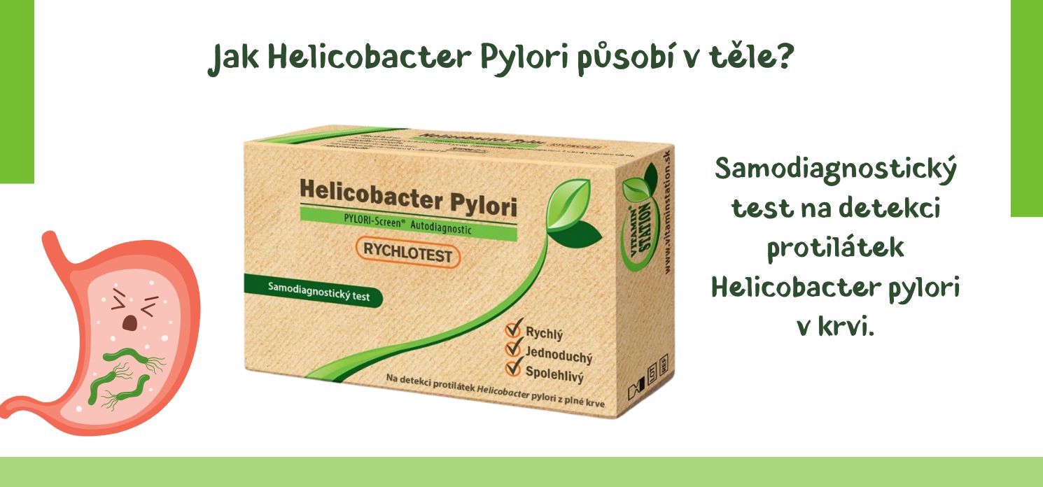 Helicobacter Pylori může být zodpovědná za vředy i gastritidu