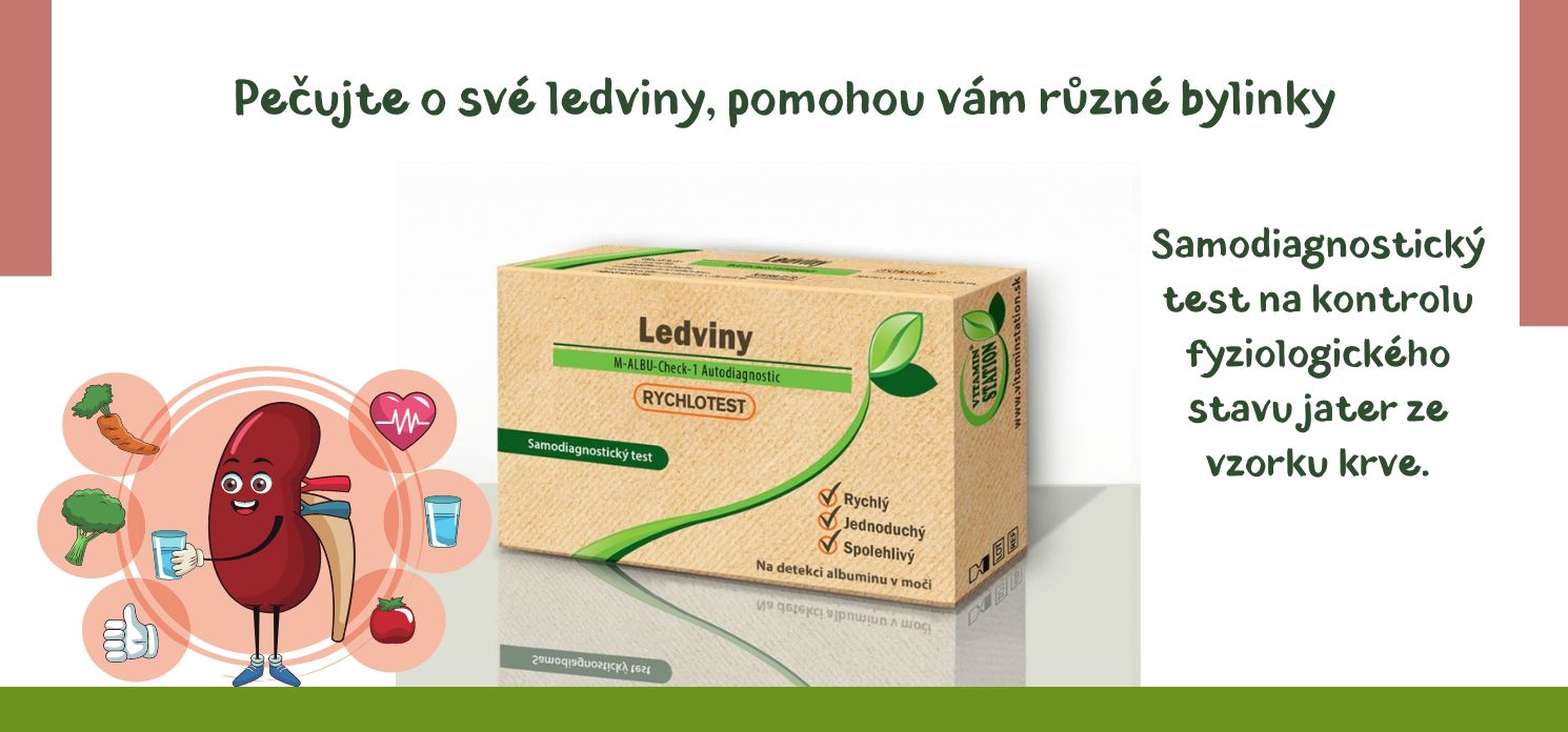Pečujte o své ledviny, pomohou vám různé bylinky