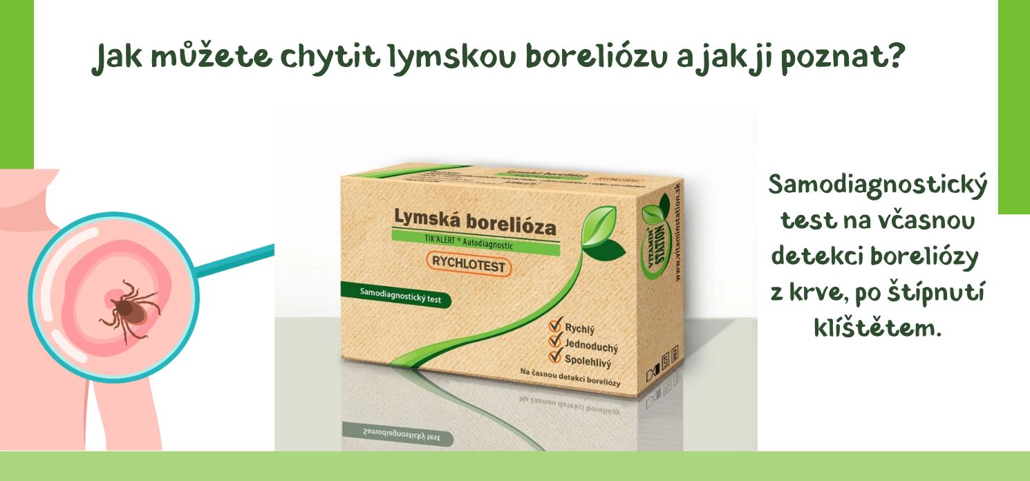 Jak můžete chytit lymskou boreliózu a jak ji poznat?
