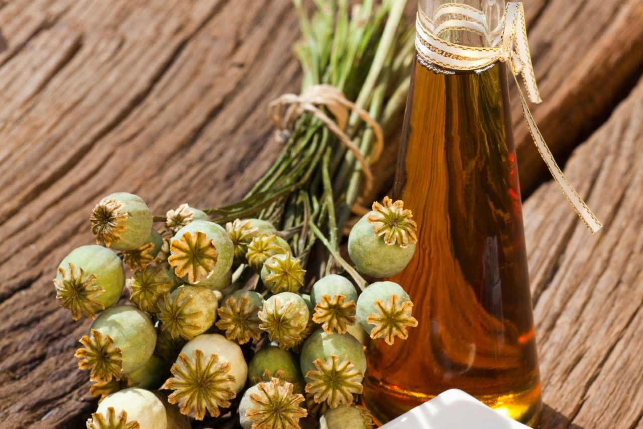 Mák nejen na buchty. Vyrábí se z něj makový olej vhodný jak do kuchyně, tak i k péči o pleť