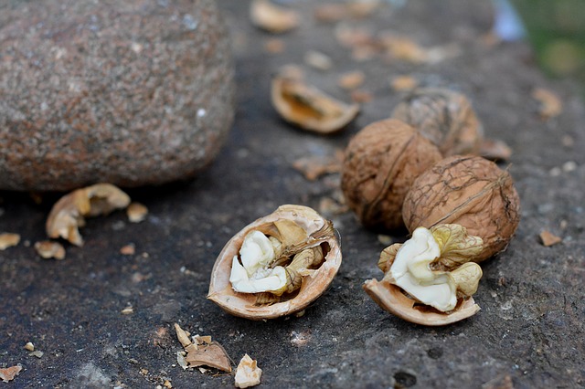 Už jste slyšeli o mýdlovém ořechu?