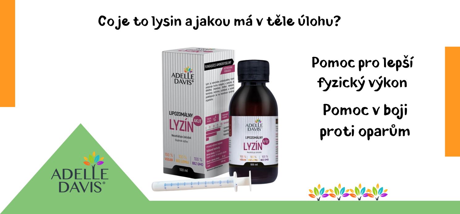Co je to lysin a jakou má v těle úlohu?