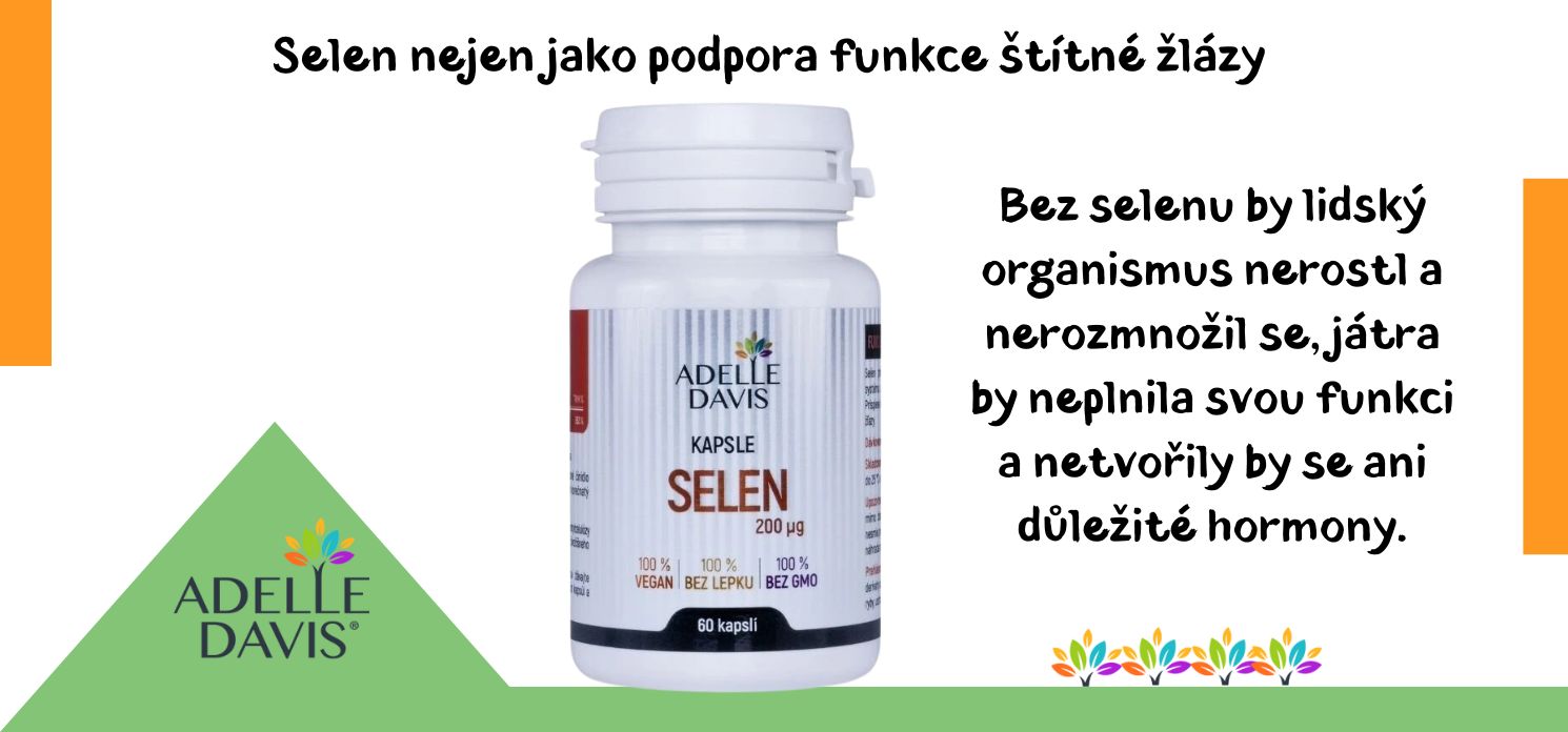 Selen nejen jako podpora funkce štítné žlázy