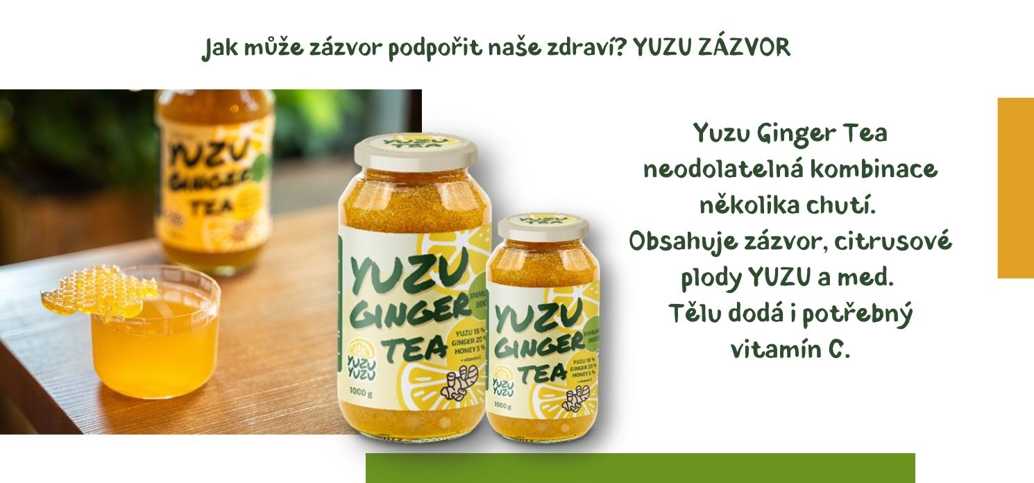 Jak může zázvor podpořit naše zdraví?