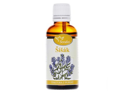 Šišák