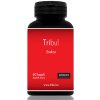 tribul