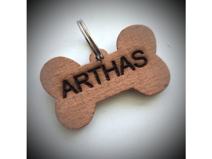 Přívěsek pro pejsky