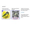 Ptáci s QR