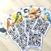 Ptáci (QR kódy)