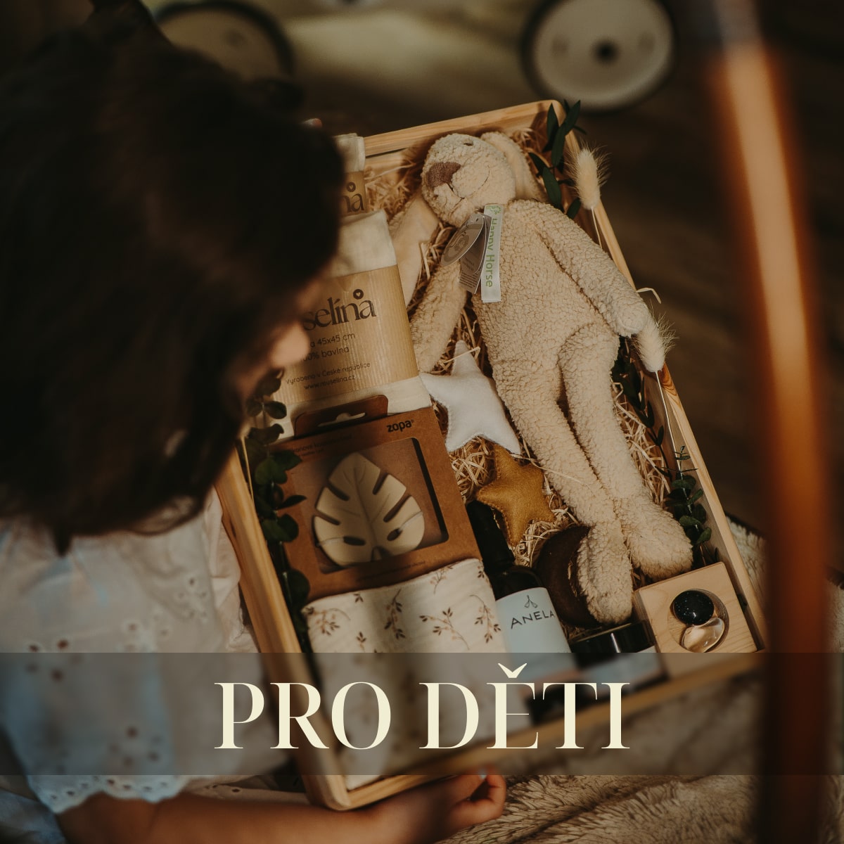Dárek pro děti - Z duše dar