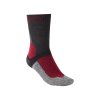 Bridgedale MTB Winter T2 MS Boot graphite (Barva graphite/red/223, Velikost S)