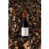 Spier Seaward Shiraz 2018 ATL Styled 01