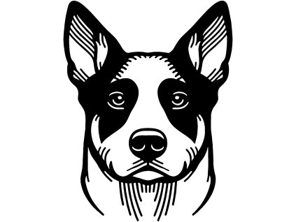 1033 AUSTRALIAN STUMPY TAIL CATTLE