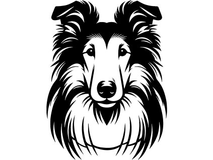1086 COLLIE