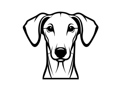 1138 IBIZAN HOUND