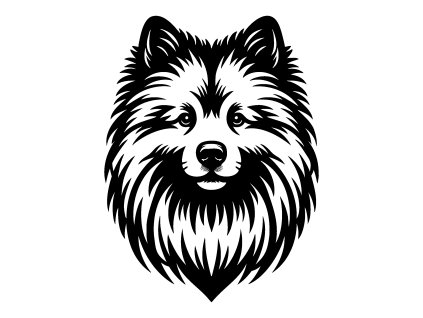 Dekorace na zeď - Holandský špic (šířka 30 cm)