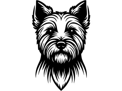 1188 NORFOLK TERRIER