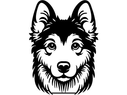 1282 YAKUTIAN LAIKA (2)