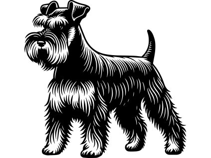 Mini Schnauzer Standing 1211231
