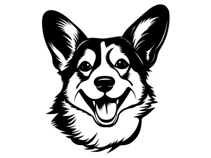 AnyConv.com 299 corgi (2)