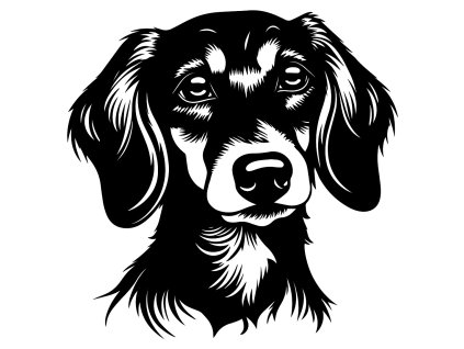 300 Dachshund
