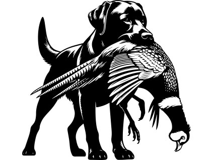 324 Pes Labrador s bažantem v tlamě