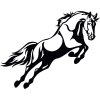 919 Kůň na zadních