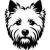 1275 WEST HIGHLAND WHITE TERRIER